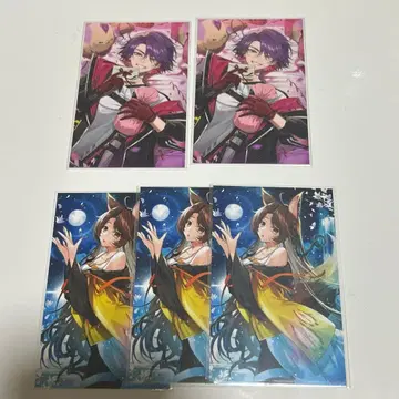 노스탤지어 컬렉션 2025 2024 와타라이 히바리 후미