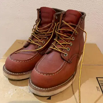 RED WING 레드윙 아이리쉬 세터 8131