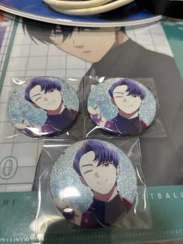 비바렌xlamv 잇세이 벌스데이 캔뱃지