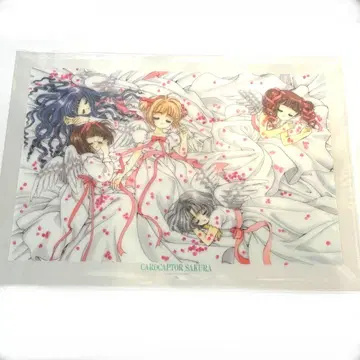 카드캡터 사쿠라 클리어 파일 원작 벚꽃 깃털