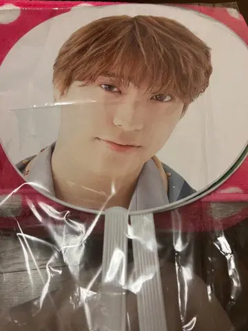 사쿠라시메지 사쿠라시메지 다나카 마사노리 타카다 효가 부채