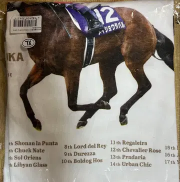 2025 다카라즈카 기념 위너 T셔츠 [메이쇼 타바루] XL