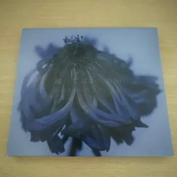 너를 위해 살아갈게