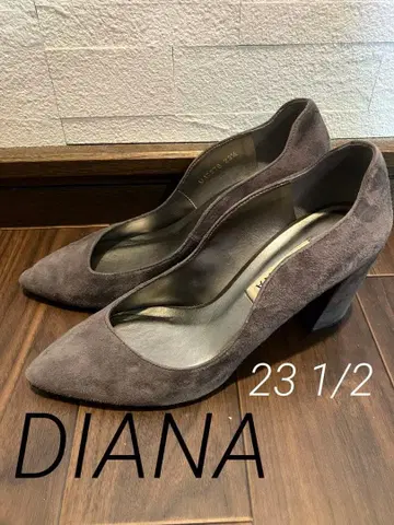 DIANA 펌프스