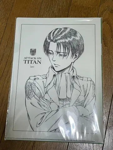 진격의 거인 리바이 클리어 파일 WIT STUDIO