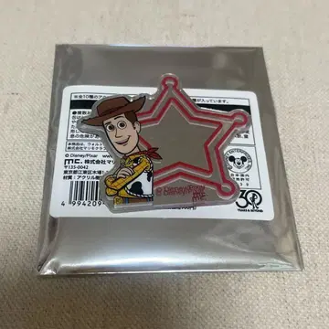 토이스토리 우디 아크릴 거울 스티커 도쿄역 팝업