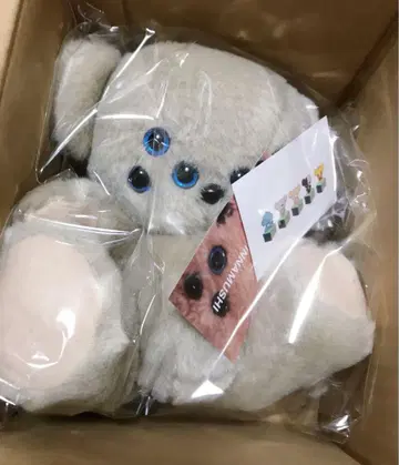 미사용 새상품 코치민나 무시 아쉬 컬러 다안짱 클리어 블루 아이