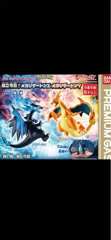 포켓몬 리자몽 컴플리트 세트