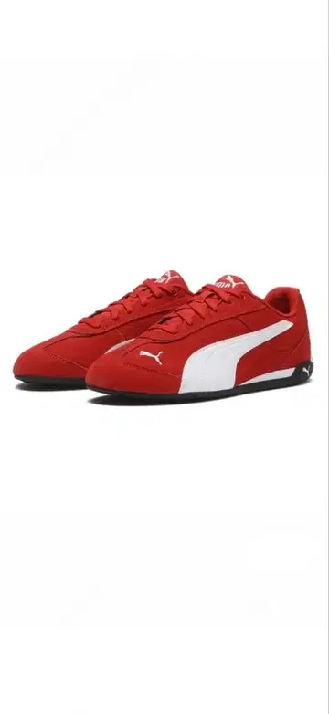 PUMA 스피도캣 빨간색 23.5