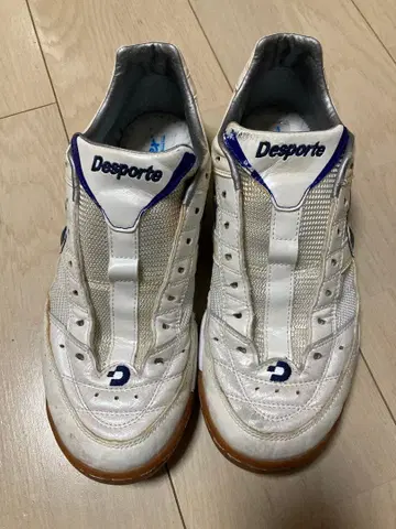 [ sandia님 ] Desporte 테사 라이트 PRO1 실내