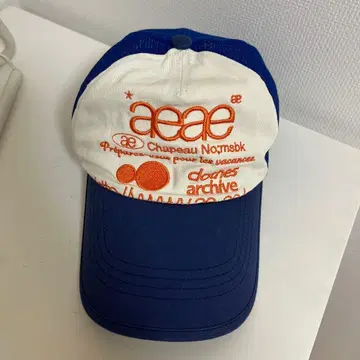 aeae 자수 로고 캡 화이트/블루