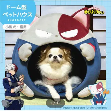 히로아카 반려동물 하우스 숏캣