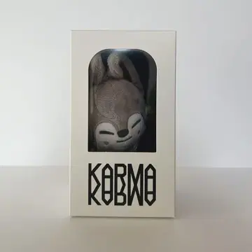 Stray Kids 4th Full Album KARMA 울프찬