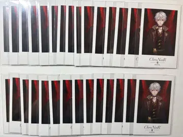 쿠츠하 luxury style 폴라로이드