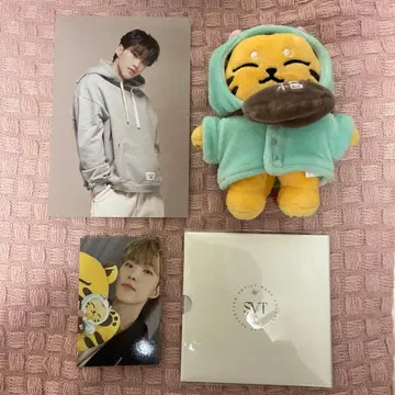 세븐틴 아티스트 메이드 호시 탐탐