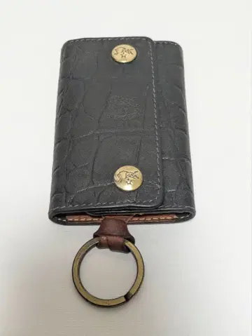 IL BISONTE 키케이스 비손테