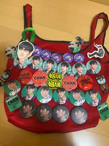 iKON 굿즈 찬우 메쉬 백