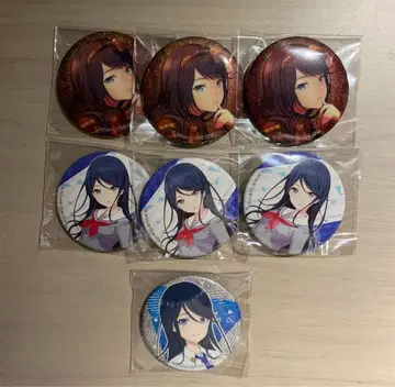 프로세카 호시노 이치카