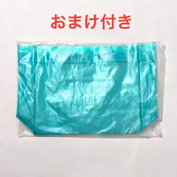 SHINee WORLD VI 토트백 덤 포함