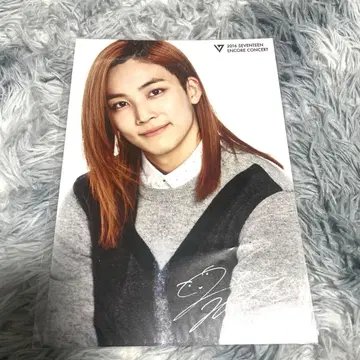 SEVENTEEN 대형 포토 카드 정한