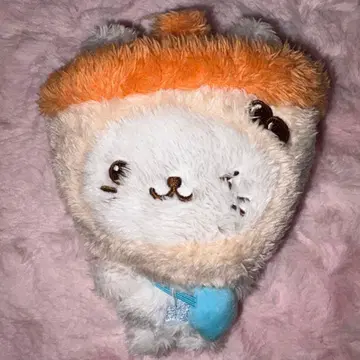 NCT WISH 유우시 버블 냥 steady