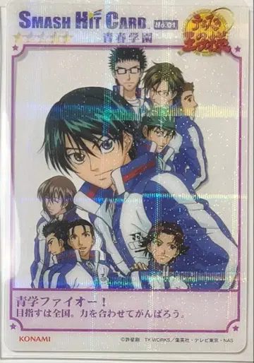 테니스의 왕자님 스매시 히트 청춘학원