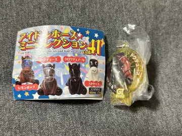 두두스 아이돌 호스 미니 컬렉션 vol.41 은퇴 SP