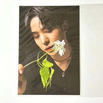 초레어 ATEEZ 윤호 엽서 scawaii