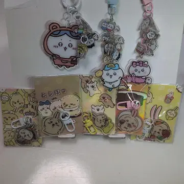 치이카와 8개 세트