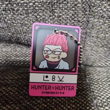 HUNTER x HUNTER 지로리 히소카