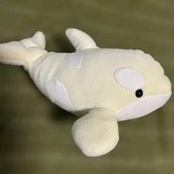 나고야항 수족관 봉제 인형 복권 3등 화이트 범고래