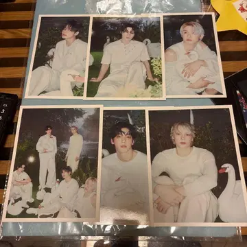 Stackissed 포토 카드 세트