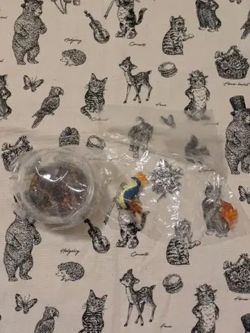 포켓몬스터 포켓몬 테라리움 컬렉션 13 마그마라시