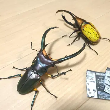 생물대도감 세트