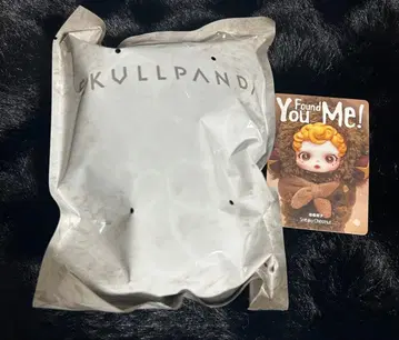 [ 정품 ] SKULLPANDA You Found Me!