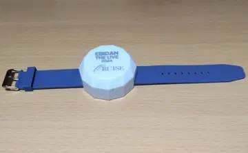 에비라이 2024 라이트 팔찌