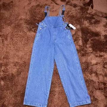 Dickies 데님 오버롤