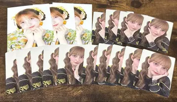 하야세 노엘 세트