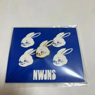 newjeans tokki 핀 배지