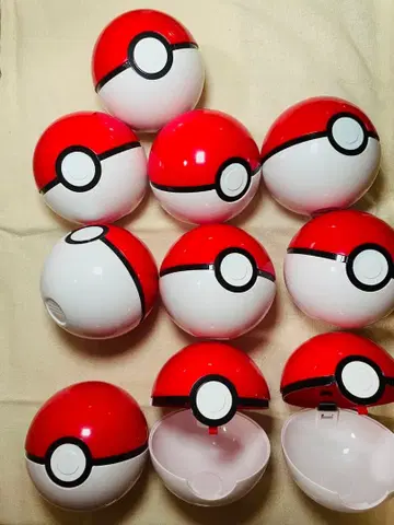 몬스터볼 케이스 포켓몬 센터