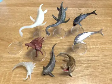 수중 최강왕 도감 피규어 엘라스모사우루스 아노말로카리스 메갈로돈 전 8체