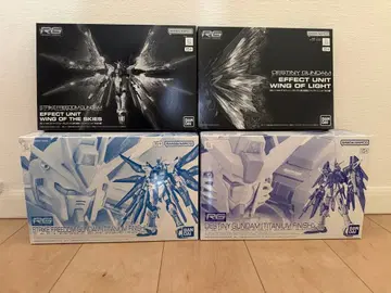 RG 스트라이크 프리덤 & 데스티니 티타늄 + 옵션 세트