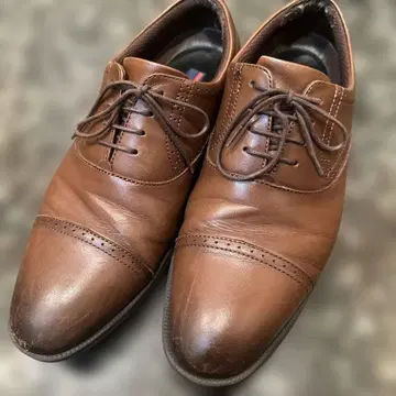 텍시 럭스 브라운 레이스업 슈즈