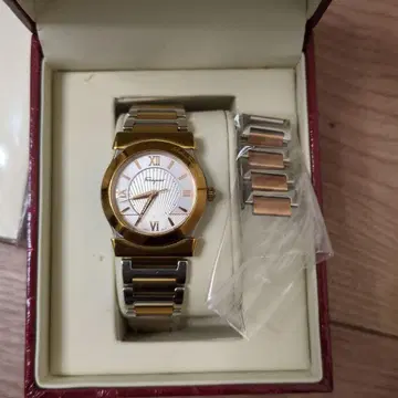 Salvatore Ferragamo 손목시계 골드/실버