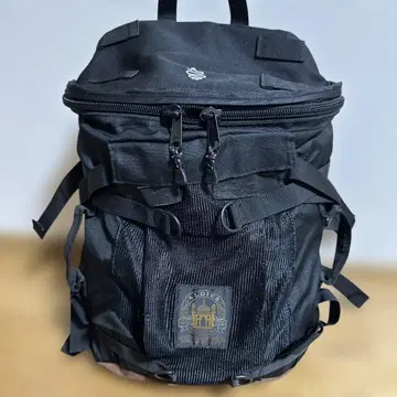 알디스 ALDIES 백팩