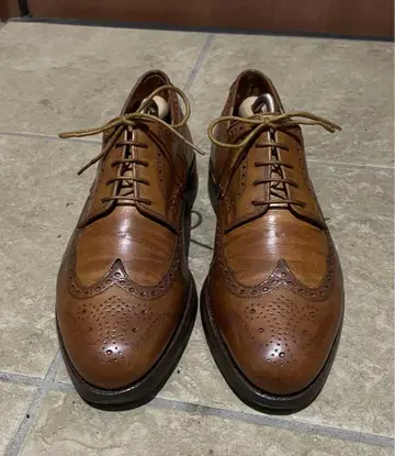 크로켓&존스 CARDIFF UK8E 26.5cm