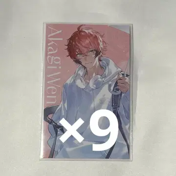 아카기 웬 폴라로이드풍 카드