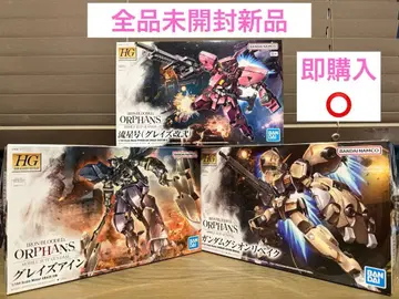 HG 유성호 (그레이즈 개니) 구시온 리바이크 그레이즈 아인 세트