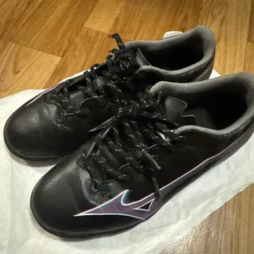 미즈노 트레이닝 슈즈 22.5