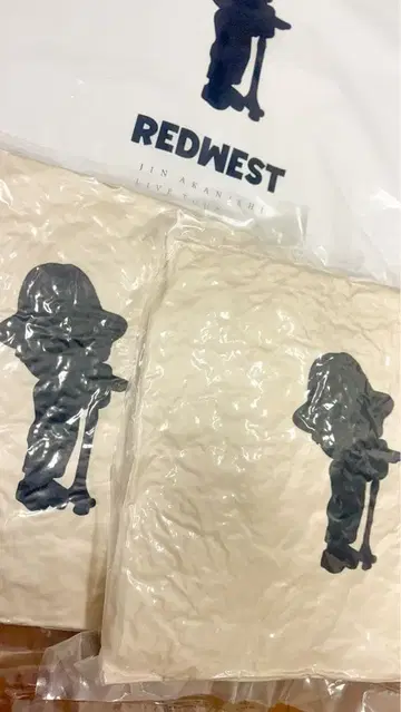 아카니시 진 업그레이드 쿠션 2개 세트